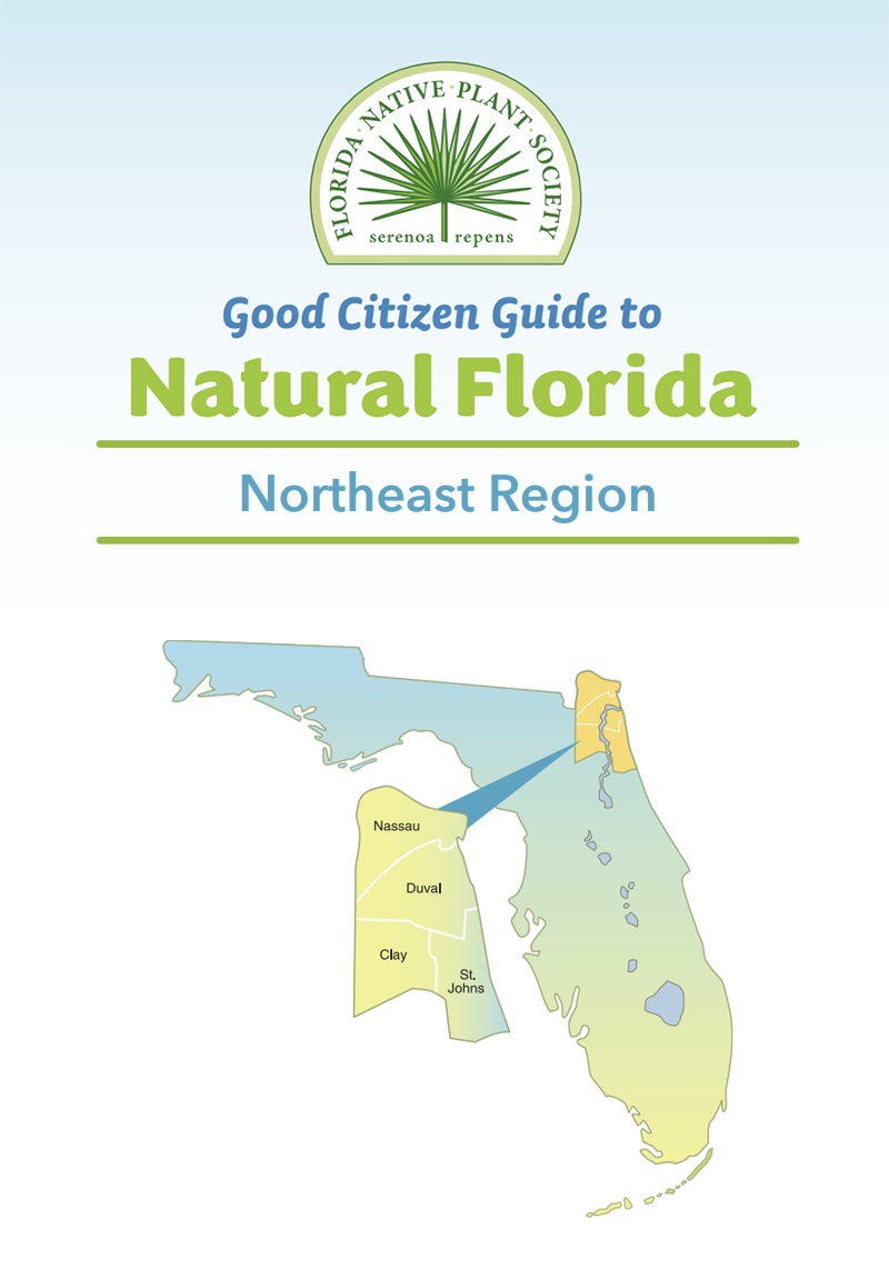D-Northeast Florida